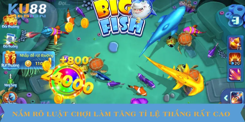 Nắm rõ luật chợi làm tăng tỉ lệ thắng rất cao