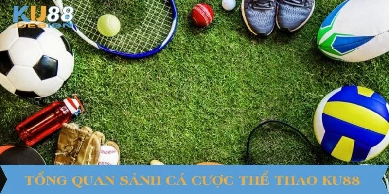 Tổng quan sảnh cá cược thể thao KU88