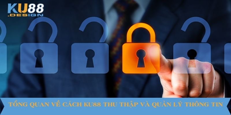 Tổng quan về cách KU88 thu thập và quản lý thông tin